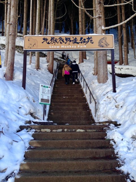 Snow Monkey Park Entrance